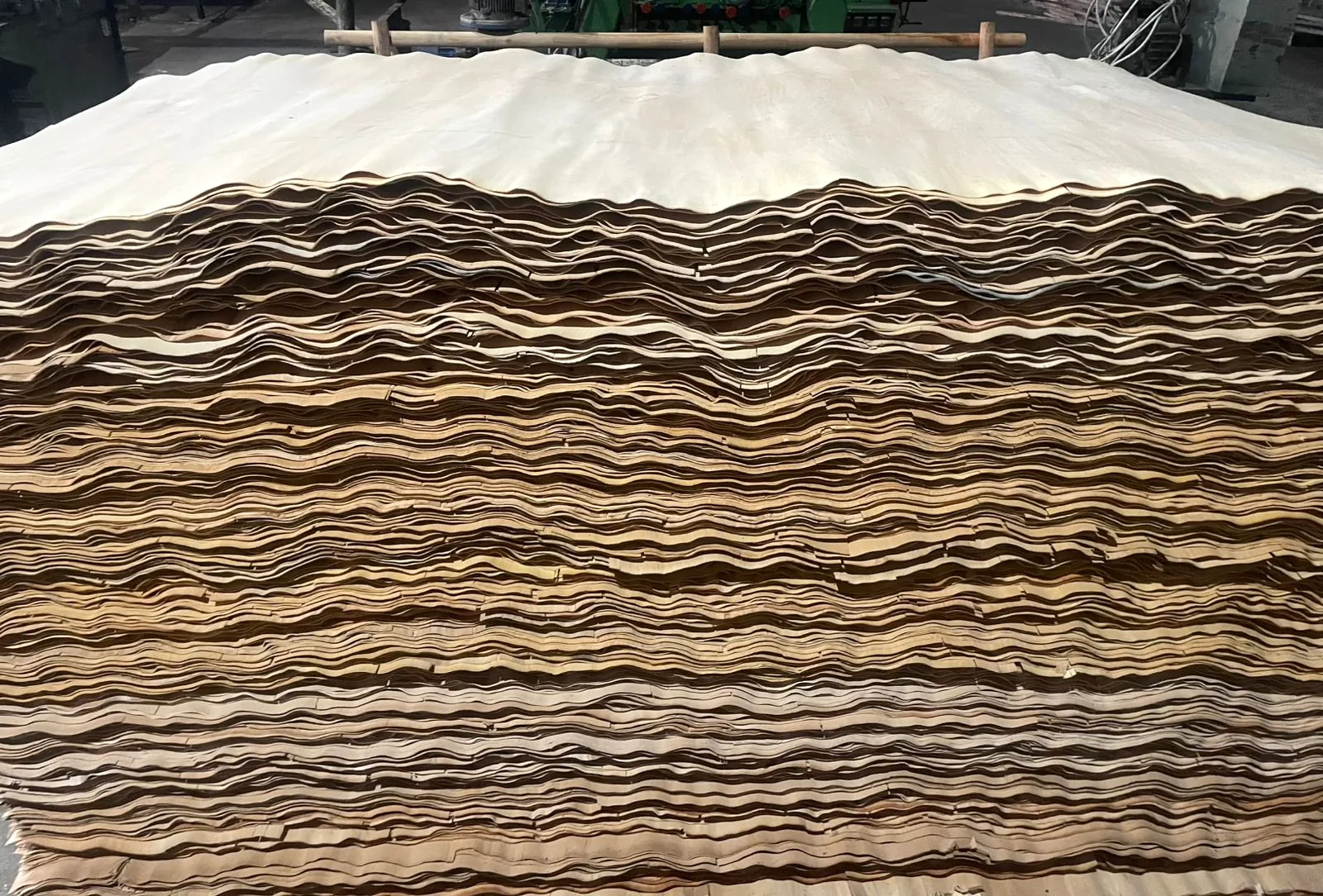 Bordi di fogli di sfogliato di faggio impilati